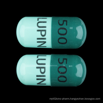 125mg/250mg 500mg Cephalexin Capsule